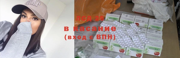 spice Аркадак