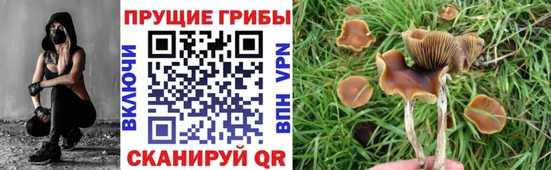 Галлюциногенные грибы Cubensis  Фатеж 